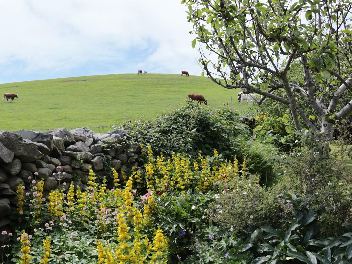 Waingate Cottage Cark Exteriör bild